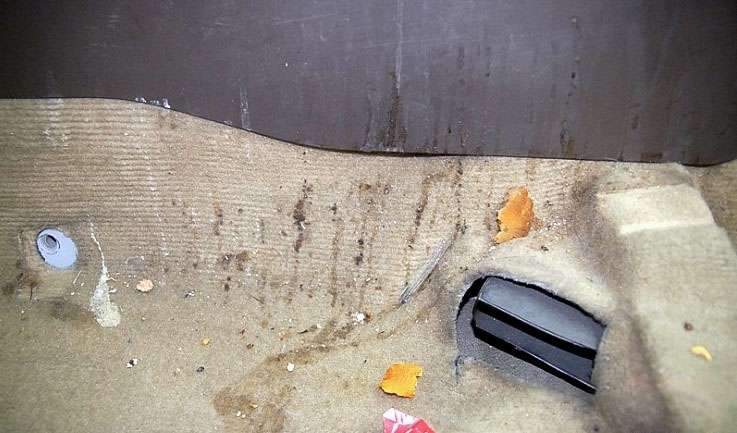 SM5 실내 크리닝 시공 사진