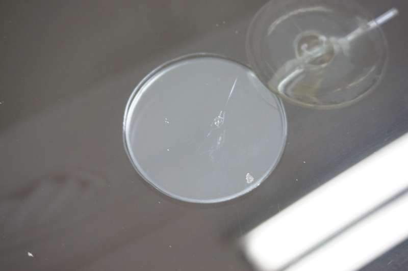 폭스바겐 골프 돌 빵 유리복원 유리 복원·교체 시공 사진