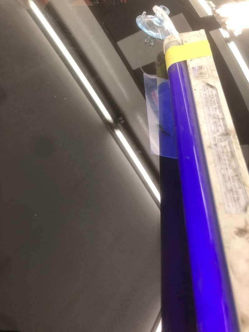 BMW 7 유리 복원·교체 시공 사진