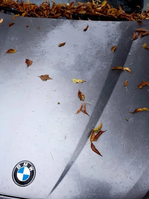 BMW 벤츠 도어 스크래치 판금도색 완료 후